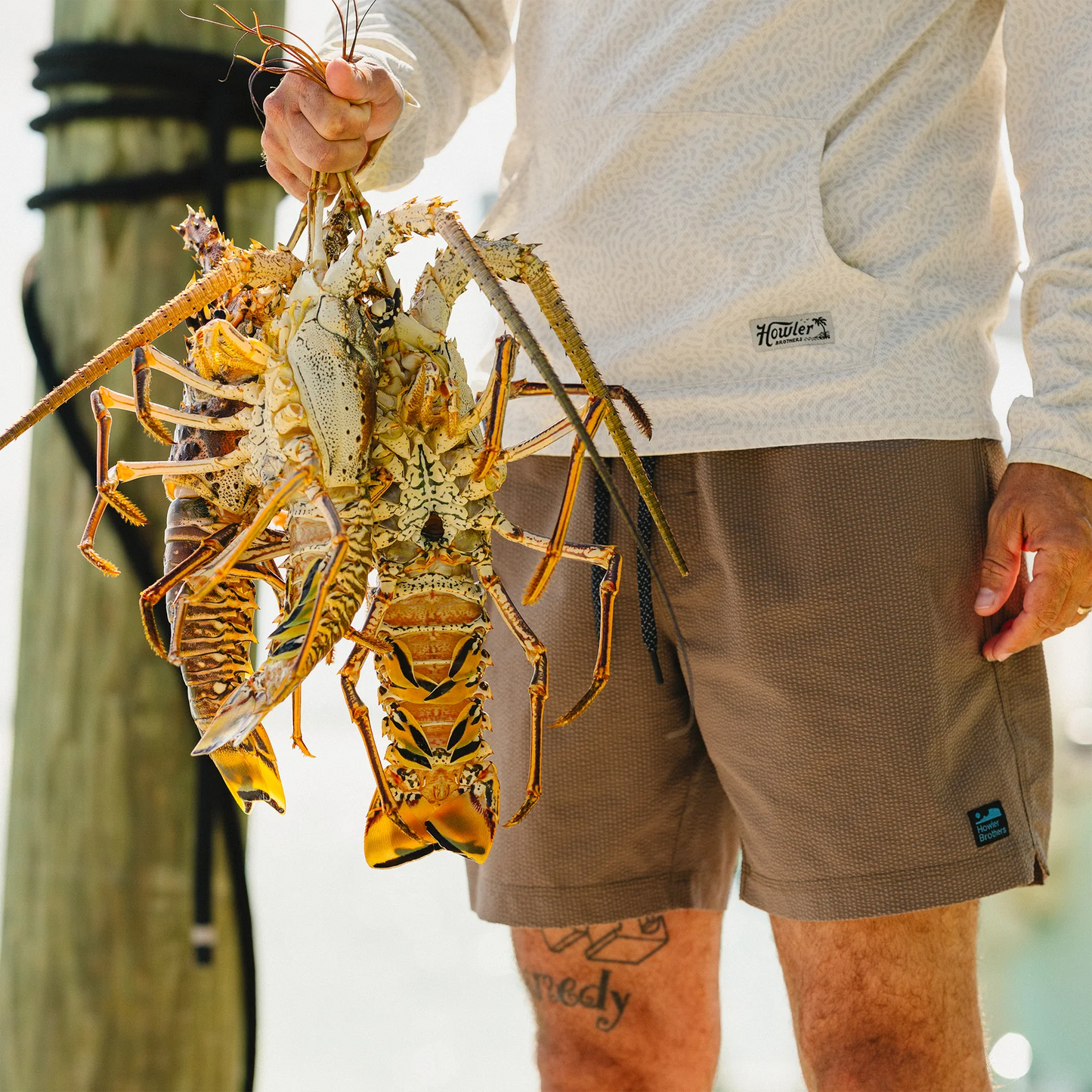 Loggerhead Hoodie
