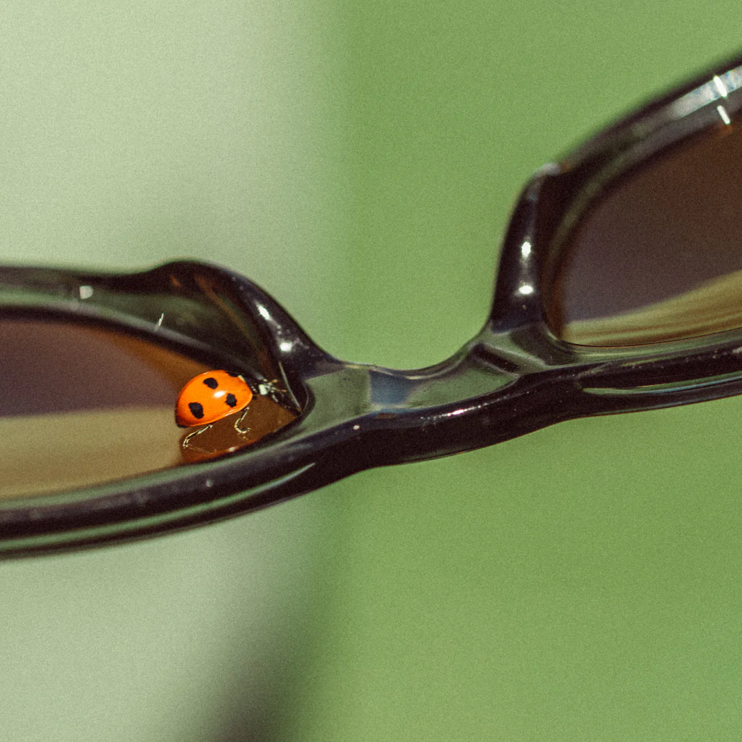 Targa