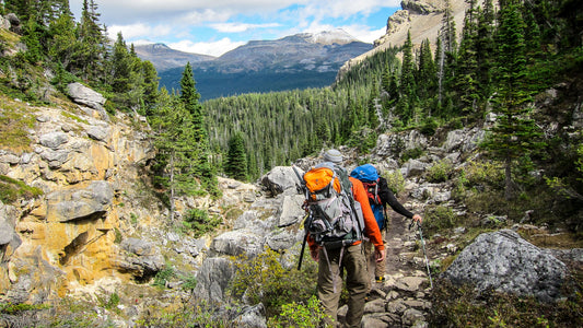 BACKPACKING FOR BEGINNERS: TIPS FOR GETTING STARTED