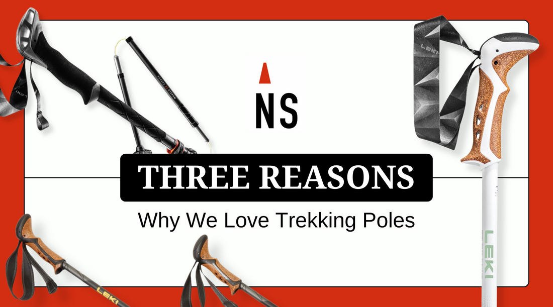 3 Reasons Why We Love Trekking Poles