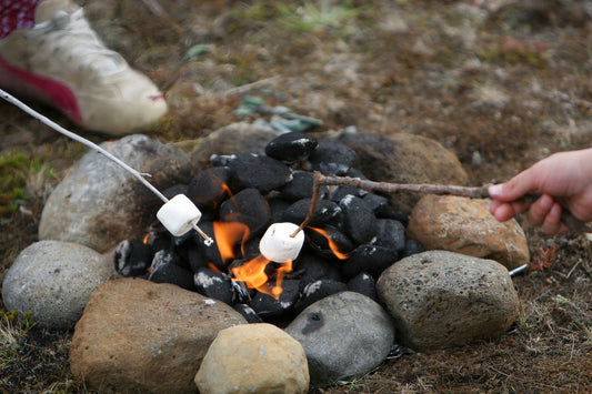 Camping 101