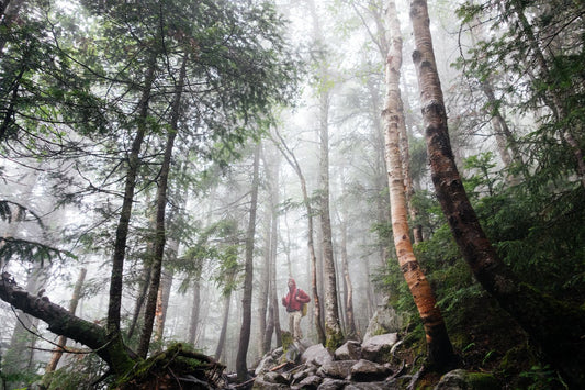 Camping – The Next Level