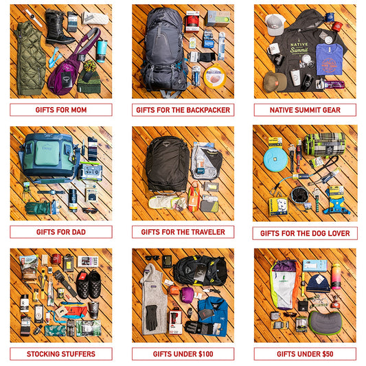2018 Holiday Gift Guide