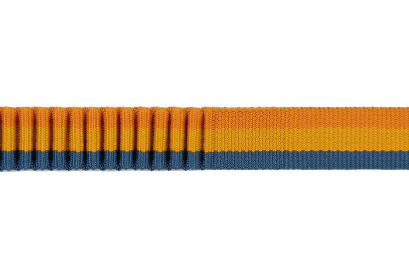 Roamer Leash - Test 4