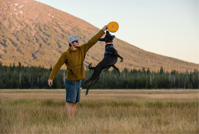 Hover Craft™ Flying Disc Dog Toy