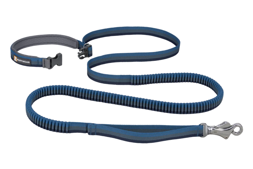 Roamer Leash - Test 4