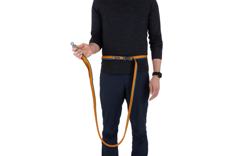 Roamer Leash - Test 4