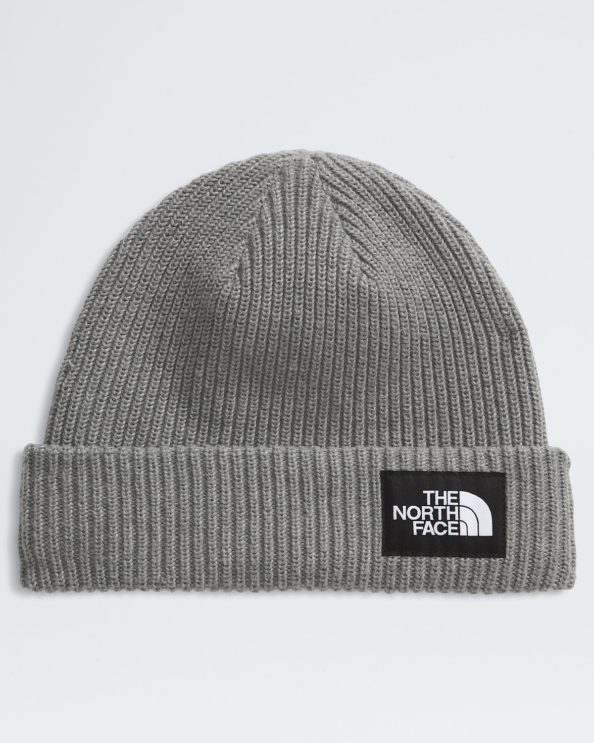 Salty Lined Beanie
