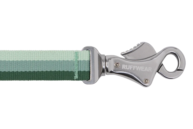 Roamer Leash - Test 4