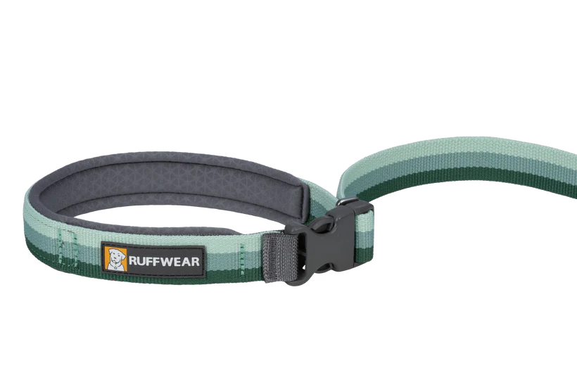 Roamer Leash - Test 4