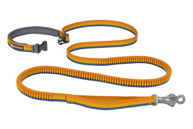 Roamer Leash - Test 4