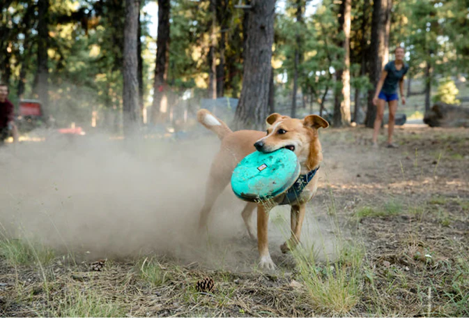 Hover Craft™ Flying Disc Dog Toy