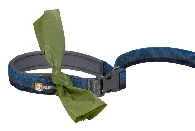 Roamer Leash - Test 4