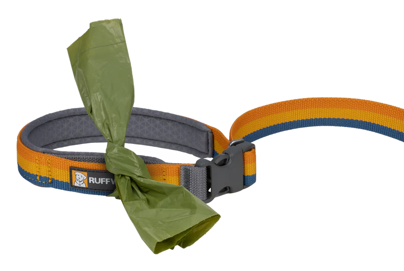 Roamer Leash - Test 4