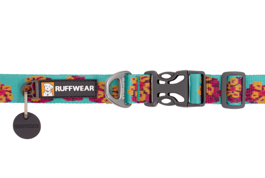 Flat Out™ Dog Collar