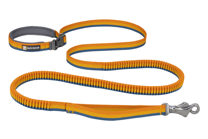 Roamer Leash - Test 4