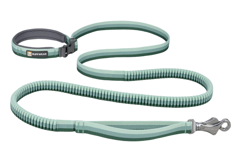 Roamer Leash - Test 4