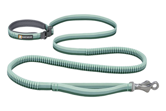 Roamer Leash - Test 4