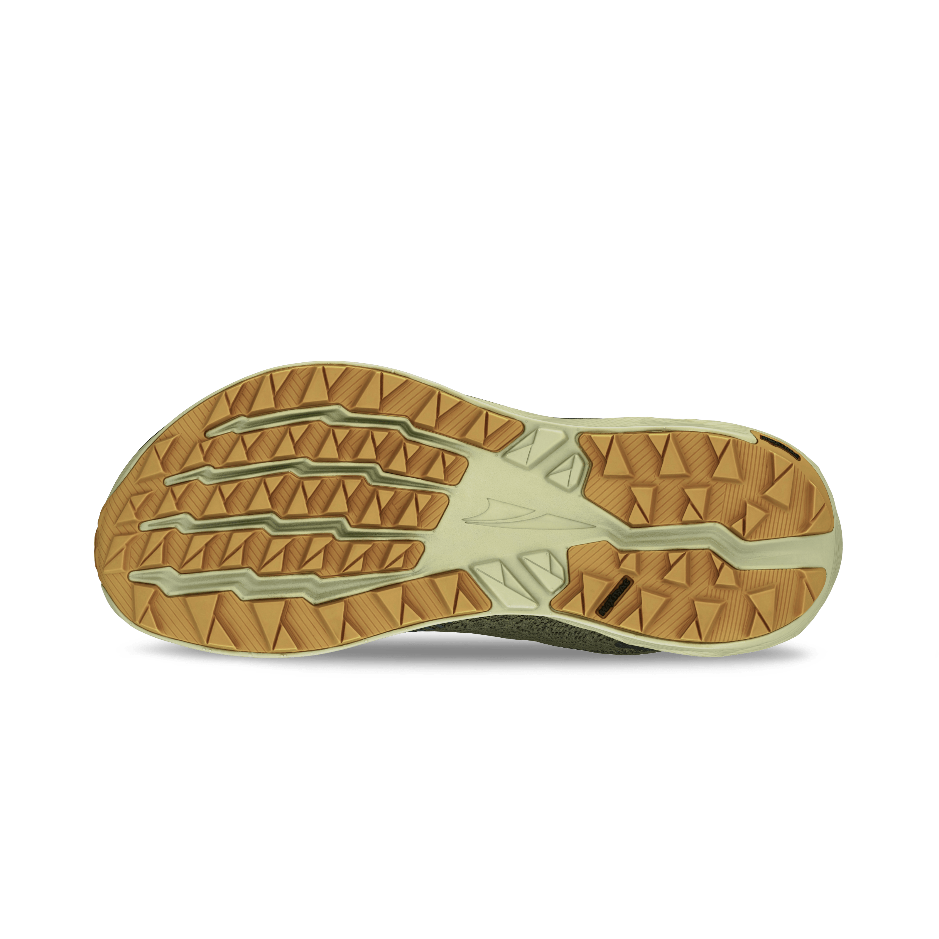 M's Experience Wild 2