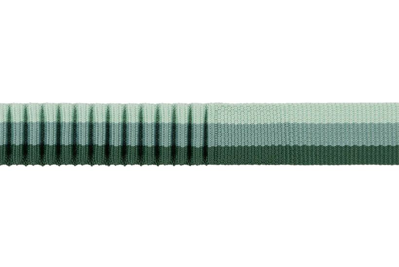 Roamer Leash - Test 4