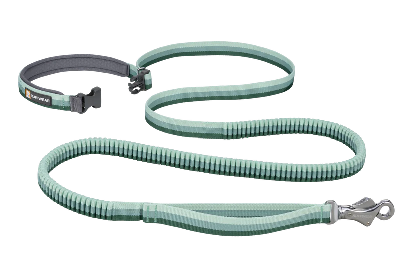 Roamer Leash - Test 4