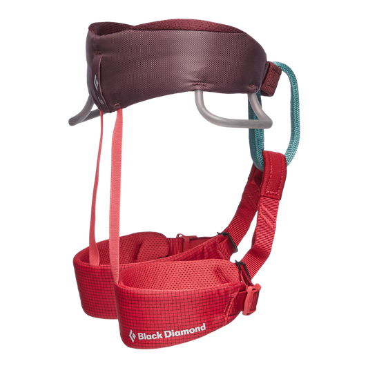 Kids' Momentum Harness