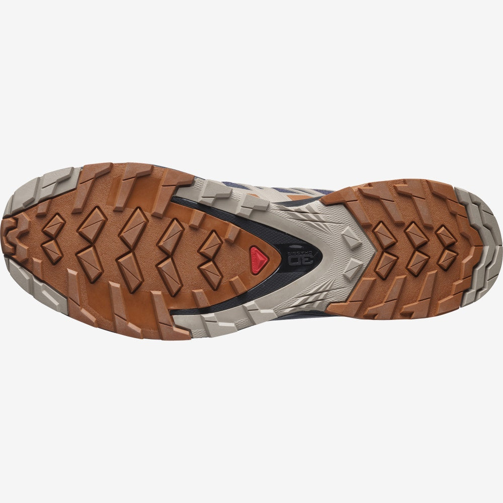 Men's XA Pro 3D V8 Gore-Tex