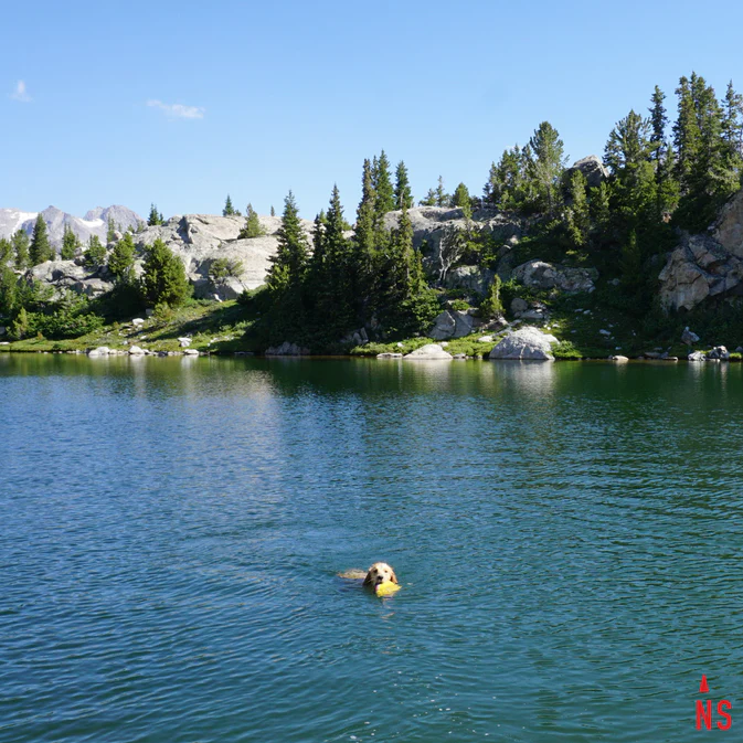 Hover Craft™ Flying Disc Dog Toy