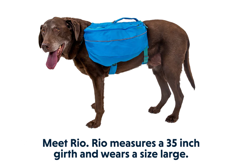 Approach™ Dog Backpack
